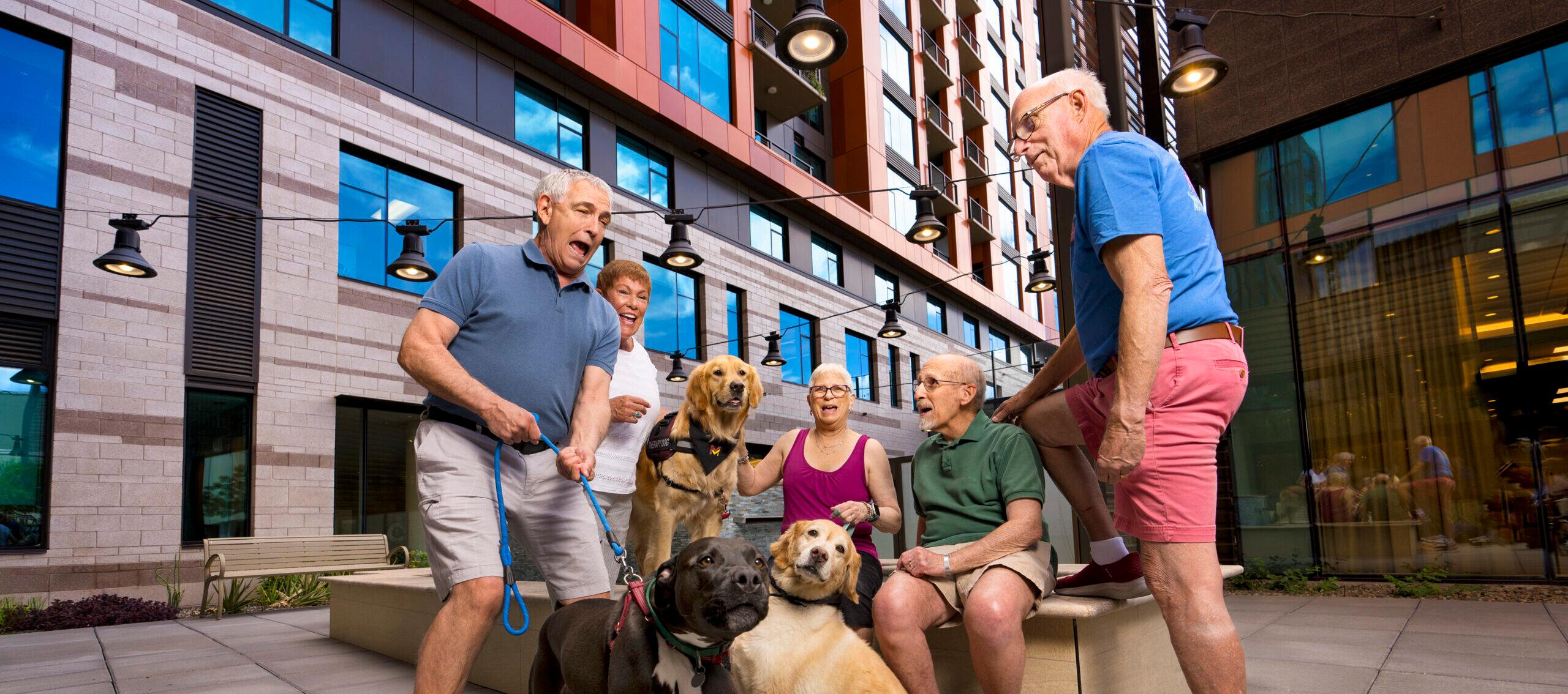 A playful group of friends struggles to restrain dogs on leashes.